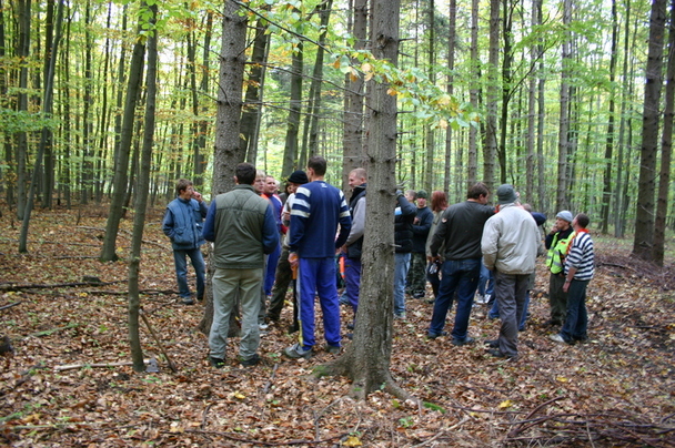 2006-10-21 - Samstag - Holen u. Aufstellen der Kirmestanne