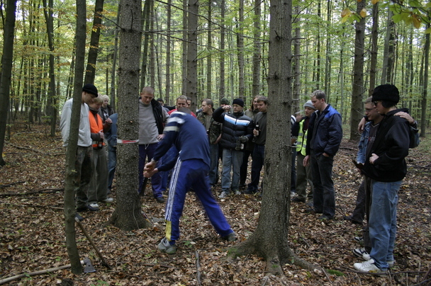 2006-10-21 - Samstag - Holen u. Aufstellen der Kirmestanne