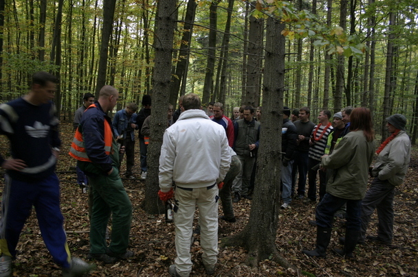 2006-10-21 - Samstag - Holen u. Aufstellen der Kirmestanne