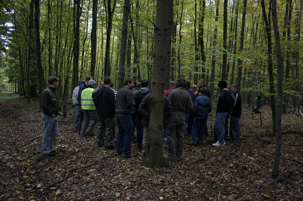 2006-10-21 - Samstag - Holen u. Aufstellen der Kirmestanne
