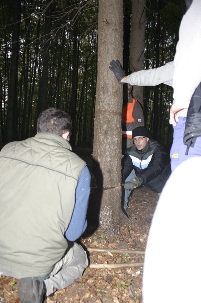2006-10-21 - Samstag - Holen u. Aufstellen der Kirmestanne