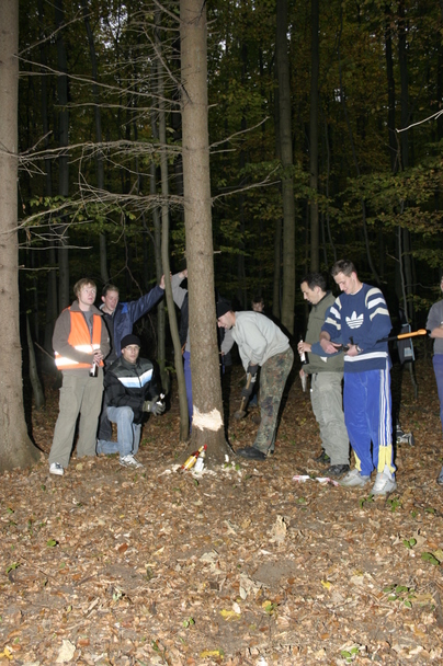 2006-10-21 - Samstag - Holen u. Aufstellen der Kirmestanne