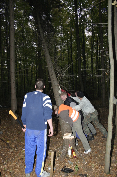2006-10-21 - Samstag - Holen u. Aufstellen der Kirmestanne
