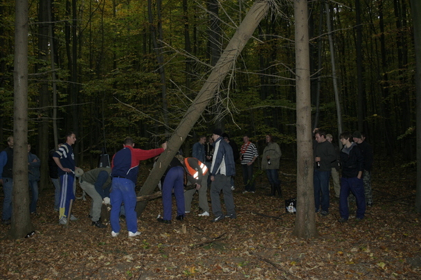 2006-10-21 - Samstag - Holen u. Aufstellen der Kirmestanne