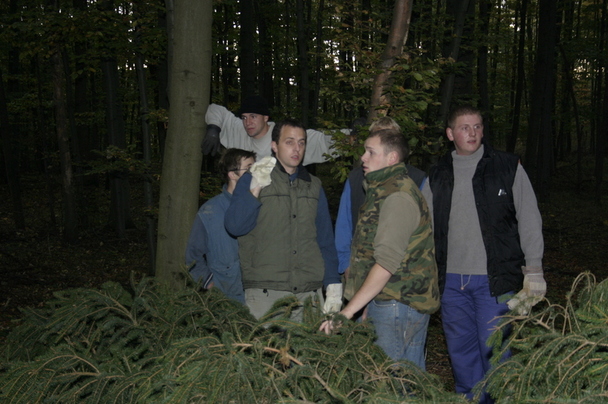 2006-10-21 - Samstag - Holen u. Aufstellen der Kirmestanne