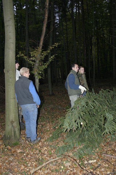 2006-10-21 - Samstag - Holen u. Aufstellen der Kirmestanne