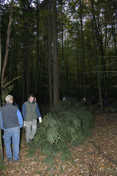 2006-10-21 - Samstag - Holen u. Aufstellen der Kirmestanne