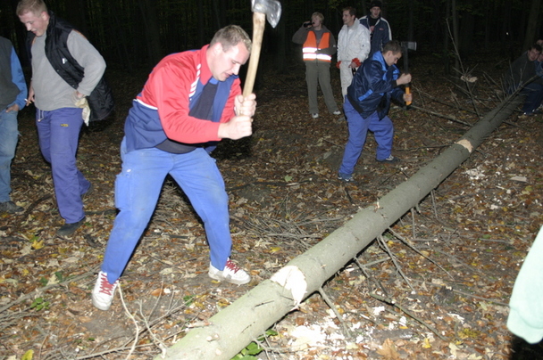 2006-10-21 - Samstag - Holen u. Aufstellen der Kirmestanne