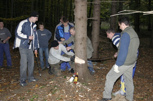 2006-10-21 - Samstag - Holen u. Aufstellen der Kirmestanne
