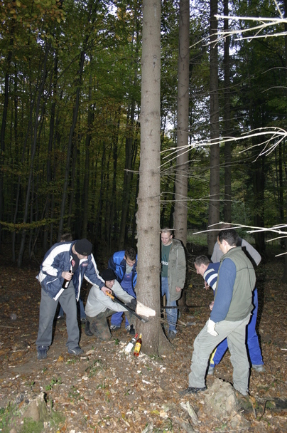 2006-10-21 - Samstag - Holen u. Aufstellen der Kirmestanne