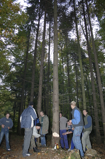 2006-10-21 - Samstag - Holen u. Aufstellen der Kirmestanne