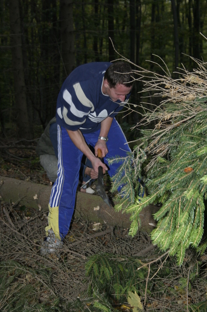 2006-10-21 - Samstag - Holen u. Aufstellen der Kirmestanne