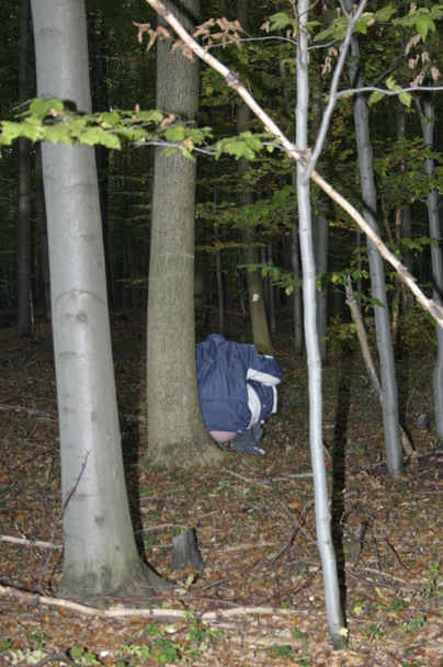 2006-10-21 - Samstag - Holen u. Aufstellen der Kirmestanne