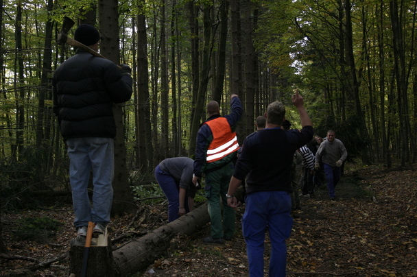 2006-10-21 - Samstag - Holen u. Aufstellen der Kirmestanne
