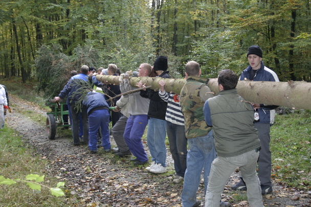 2006-10-21 - Samstag - Holen u. Aufstellen der Kirmestanne