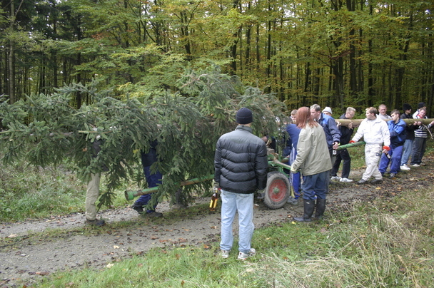 2006-10-21 - Samstag - Holen u. Aufstellen der Kirmestanne