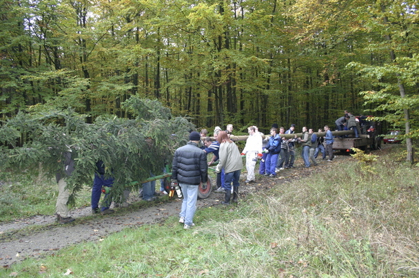2006-10-21 - Samstag - Holen u. Aufstellen der Kirmestanne