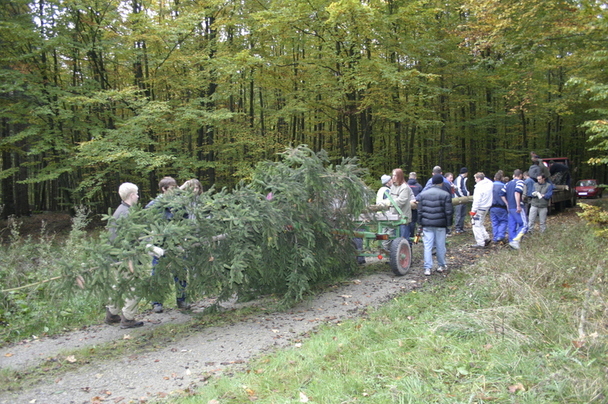2006-10-21 - Samstag - Holen u. Aufstellen der Kirmestanne