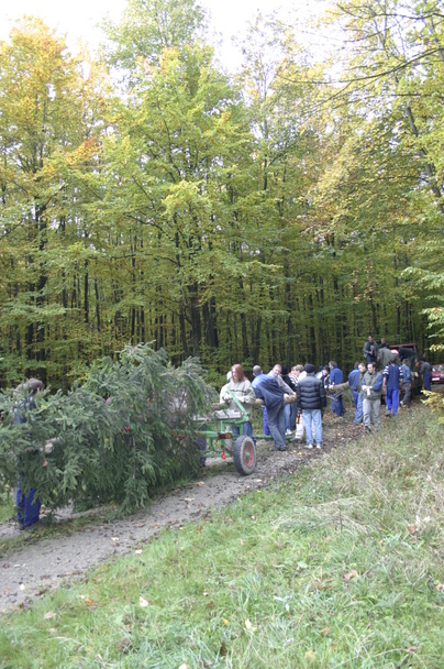 2006-10-21 - Samstag - Holen u. Aufstellen der Kirmestanne