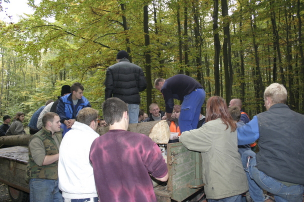 2006-10-21 - Samstag - Holen u. Aufstellen der Kirmestanne