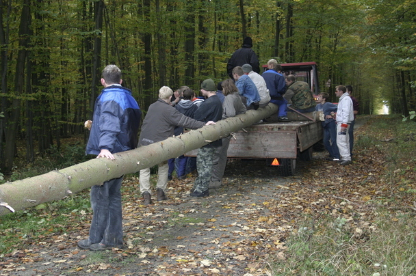 2006-10-21 - Samstag - Holen u. Aufstellen der Kirmestanne