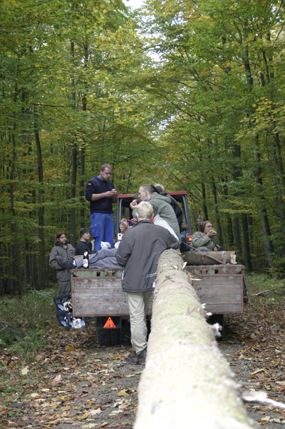 2006-10-21 - Samstag - Holen u. Aufstellen der Kirmestanne