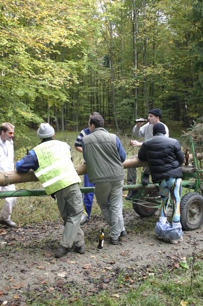 2006-10-21 - Samstag - Holen u. Aufstellen der Kirmestanne