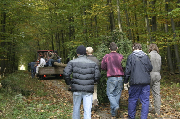 2006-10-21 - Samstag - Holen u. Aufstellen der Kirmestanne
