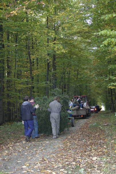 2006-10-21 - Samstag - Holen u. Aufstellen der Kirmestanne