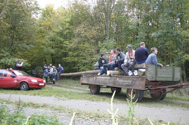 2006-10-21 - Samstag - Holen u. Aufstellen der Kirmestanne