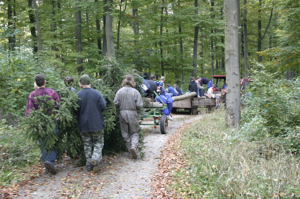 2006-10-21 - Samstag - Holen u. Aufstellen der Kirmestanne