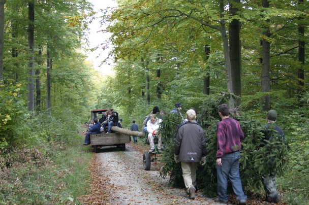 2006-10-21 - Samstag - Holen u. Aufstellen der Kirmestanne