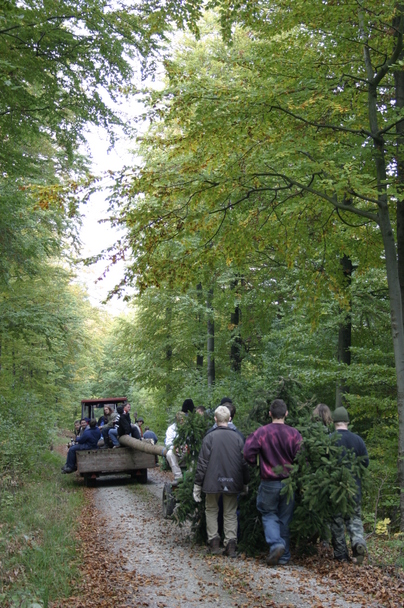 2006-10-21 - Samstag - Holen u. Aufstellen der Kirmestanne