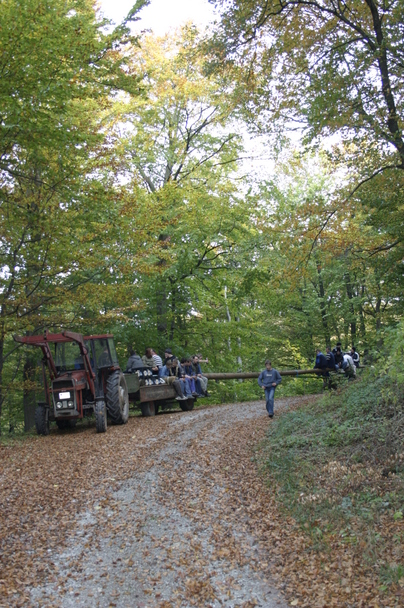 2006-10-21 - Samstag - Holen u. Aufstellen der Kirmestanne