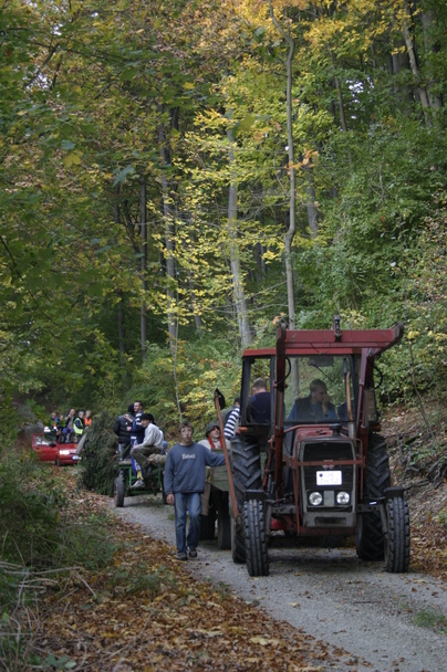 2006-10-21 - Samstag - Holen u. Aufstellen der Kirmestanne