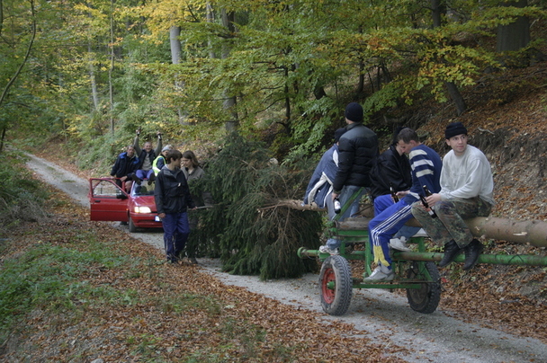 2006-10-21 - Samstag - Holen u. Aufstellen der Kirmestanne