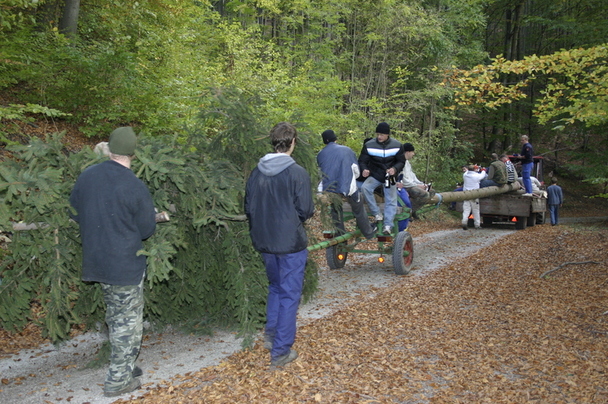 2006-10-21 - Samstag - Holen u. Aufstellen der Kirmestanne
