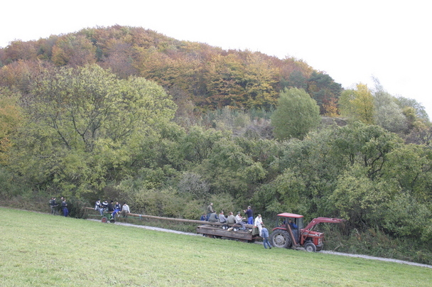 2006-10-21 - Samstag - Holen u. Aufstellen der Kirmestanne