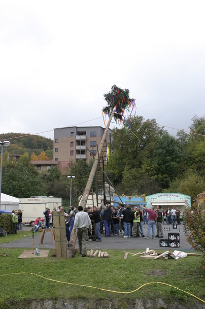 2006-10-21 - Samstag - Holen u. Aufstellen der Kirmestanne