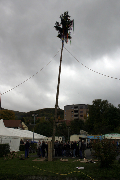 2006-10-21 - Samstag - Holen u. Aufstellen der Kirmestanne