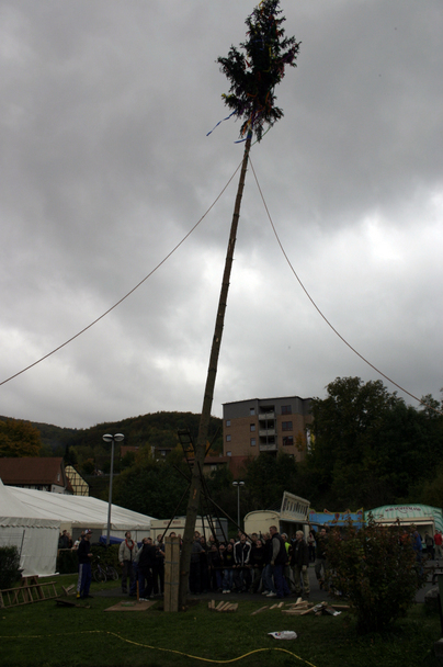 2006-10-21 - Samstag - Holen u. Aufstellen der Kirmestanne