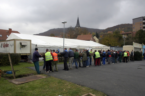 Holen und Aufstellen der Kirmestanne
