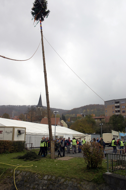 Holen und Aufstellen der Kirmestanne