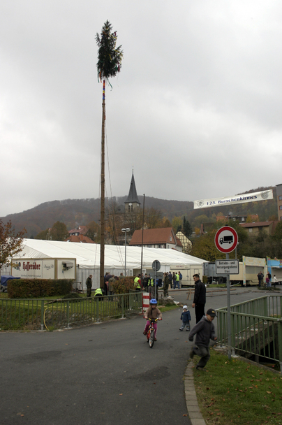 Holen und Aufstellen der Kirmestanne