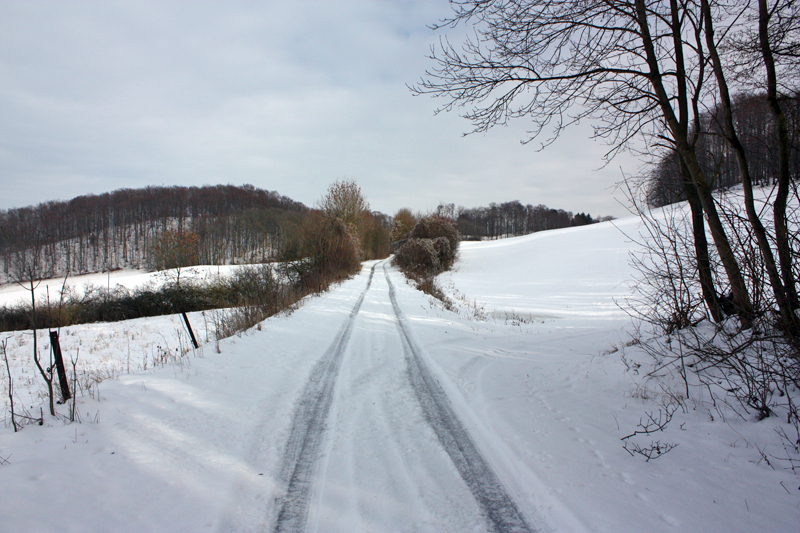 Heimwärts