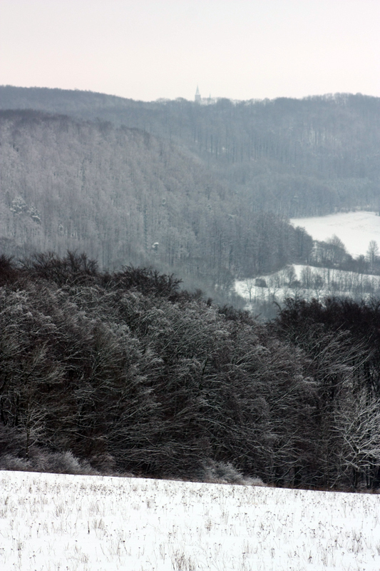 Blick von der Birke zum Eichsfelder Dom (Effelder)