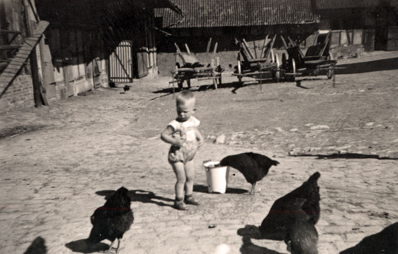 Füttern der Hühner auf dem Keudelstein