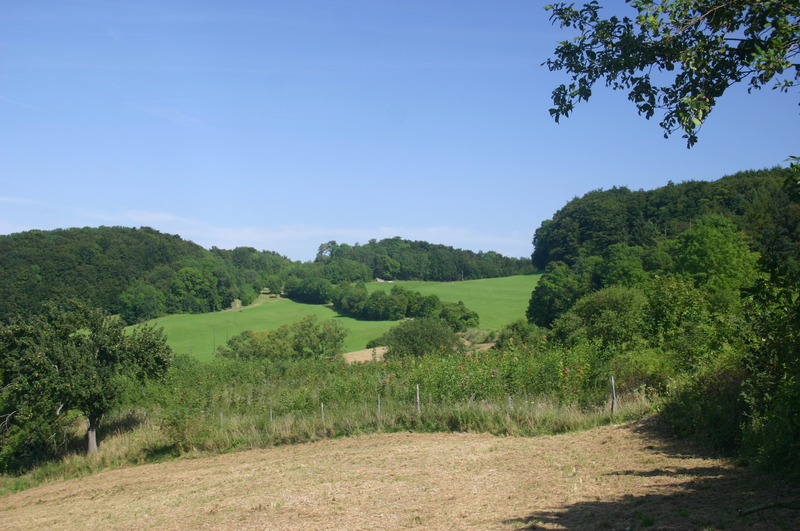 Keudelskuppe und Keudelstein im August 2007