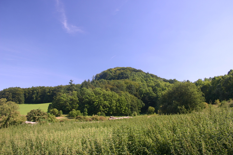 Keudelskuppe und Keudelstein im August 2007