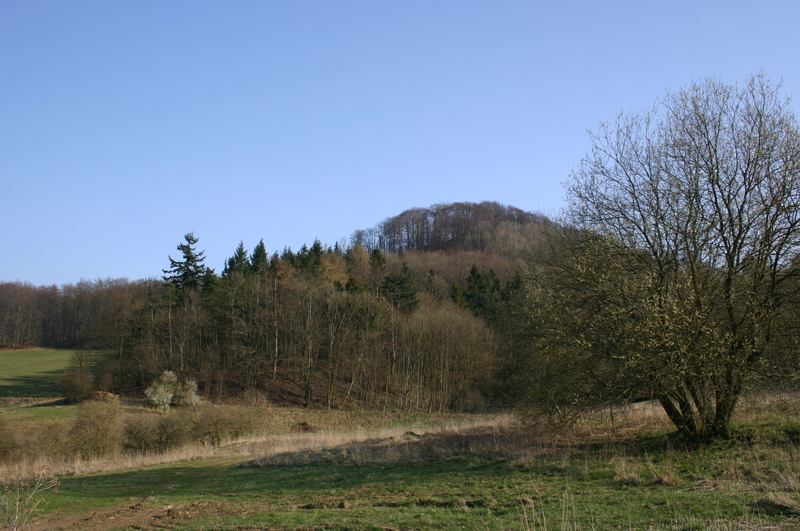 Das Gutsgelände im April 2007